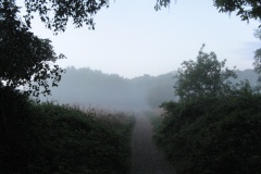 Mist over The Fen