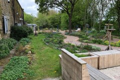 Sensory Garden