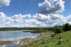 View from Wader Scrape Hide