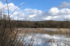 The water level near the sluice gate, Denaby Ings, Denaby Ings.