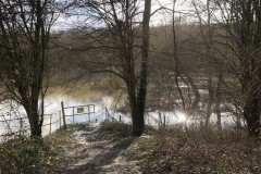 The water level near the sluice gate, Denaby Ings.