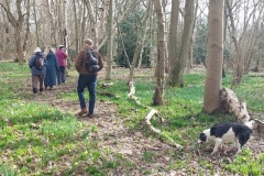 Group, Park Wood.