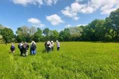 Sykehouse Meadows.