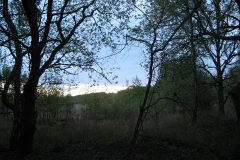 Dawn-breaking-over-The-Fen-Sandall-Beat