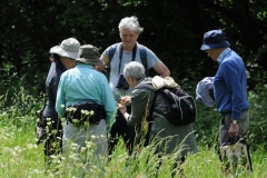 Doncaster Nats meeting at Anston Stones