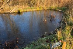 Frozen Pond