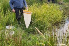 Pond dipping at John Scott's Farm,