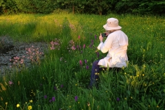 Joyce Simmons at John Scott's Farm,