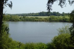 RSPB Fairburn Ings