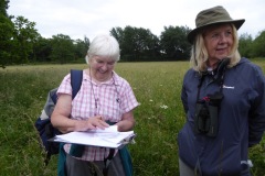 Owston_Meadow_2017