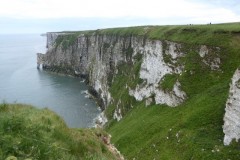 Looking south toward the gannetry., Bempton Cliffs