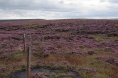 The Source Of The River Don